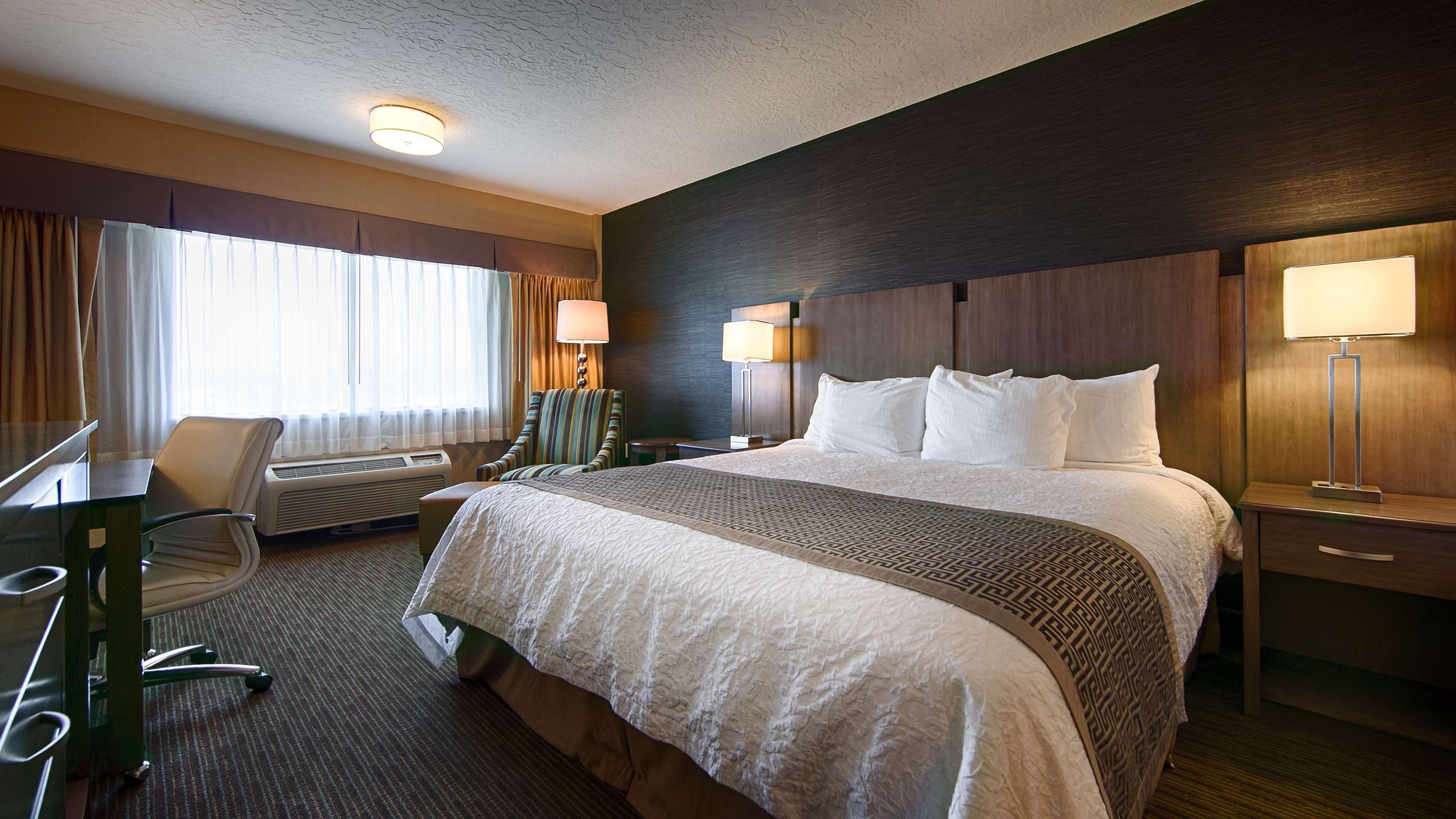 Western Cotton Tree 3* Sandy