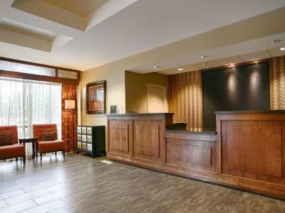 Western Cotton Tree 3*