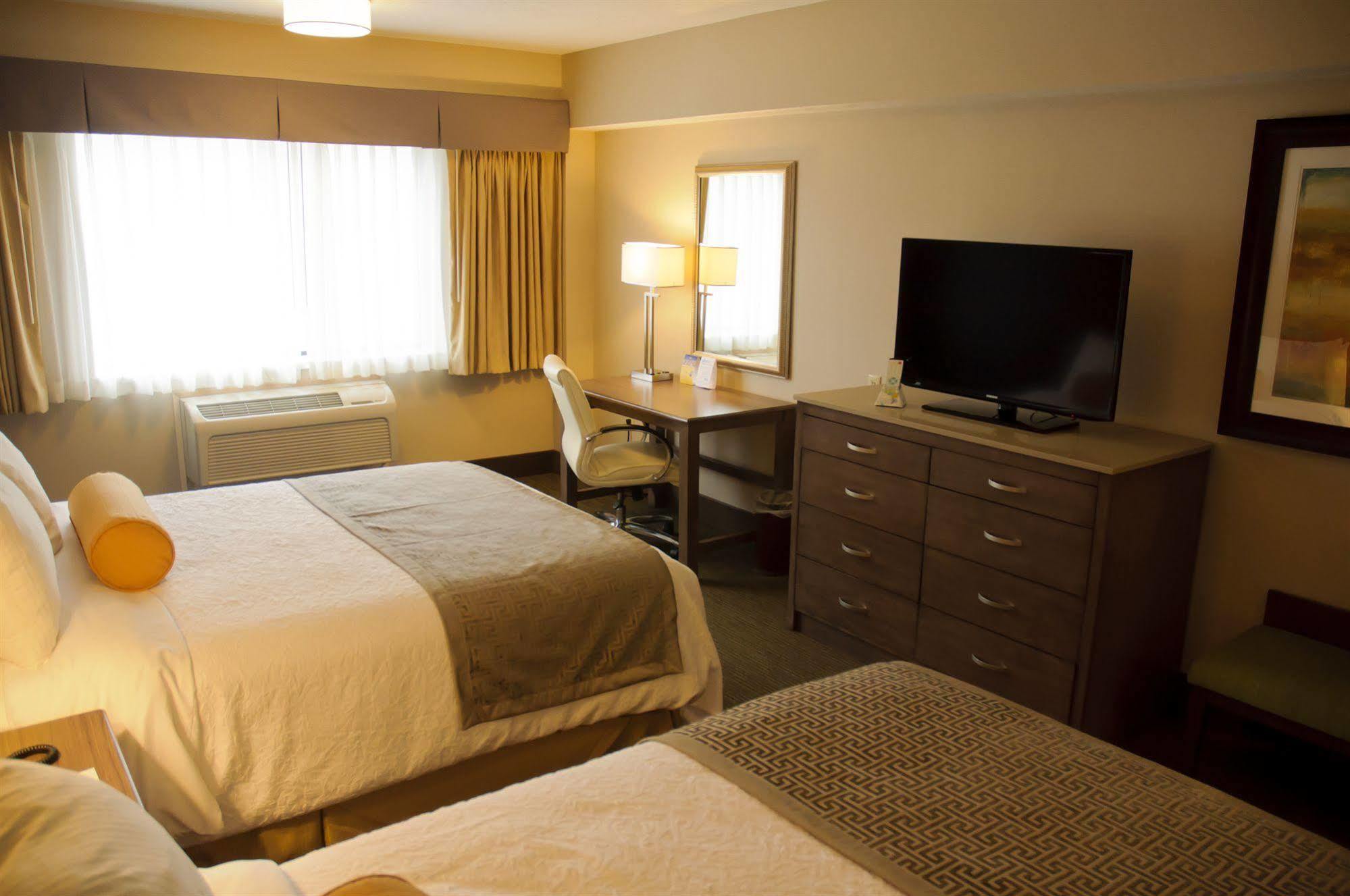 Western Cotton Tree 3* Sandy